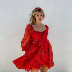 Selkie strawberry princess dress size 2XL